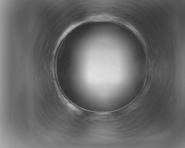 X0000081561486200701221014