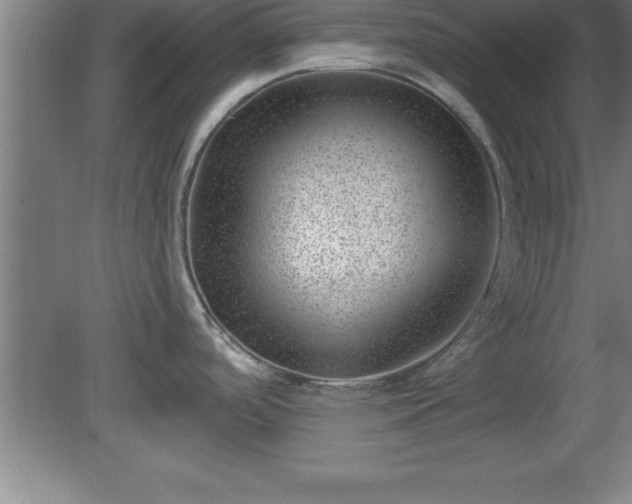 X0000081561488200701221014