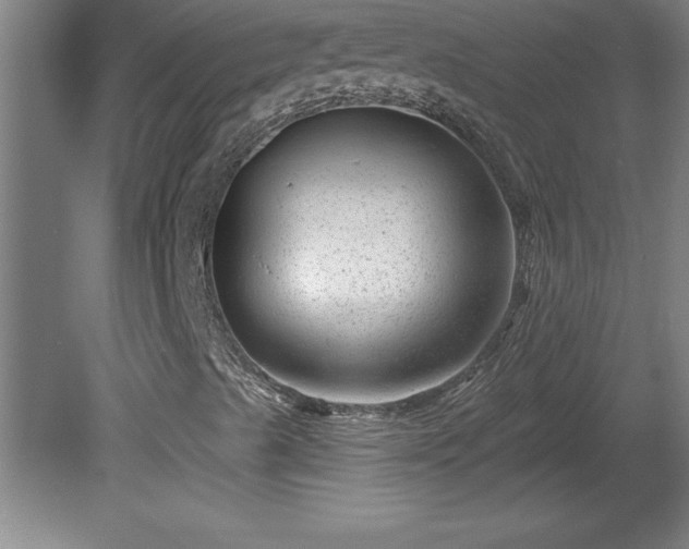 X0000081561489200701221013