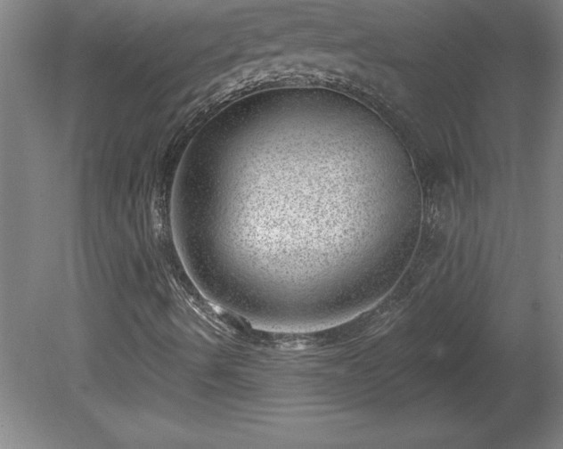 X0000081561490200701221013