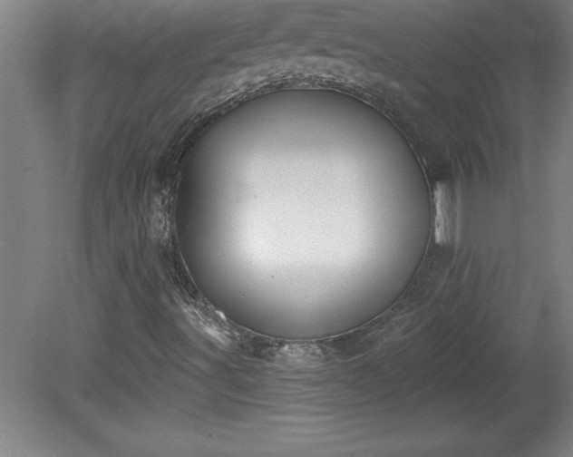 X0000081561491200701221013