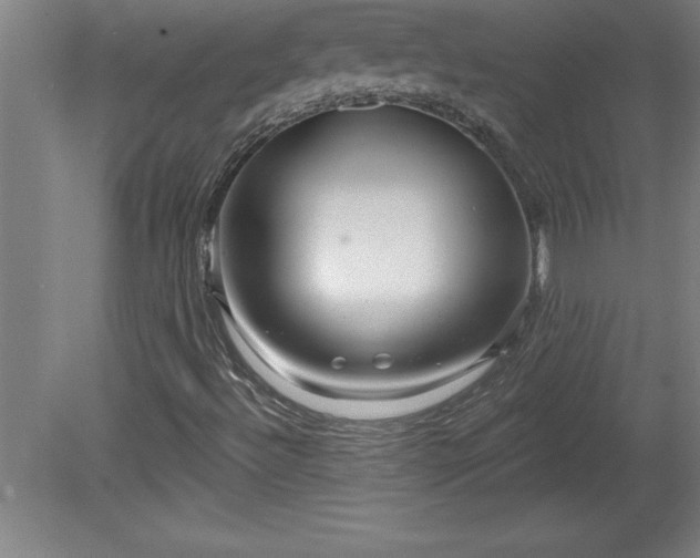 X0000081561492200701221013
