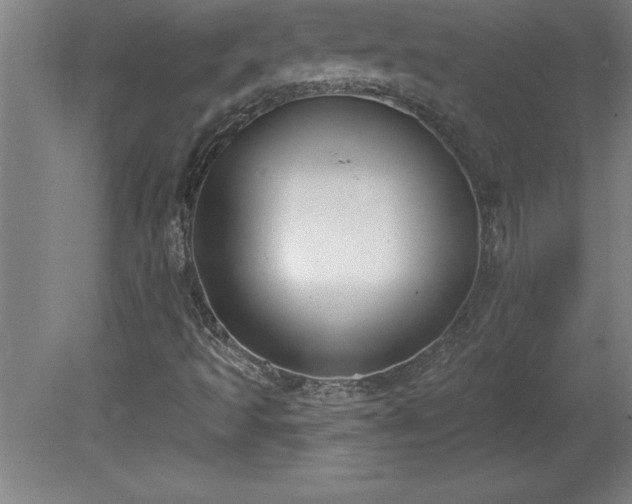 X0000081561493200701221013
