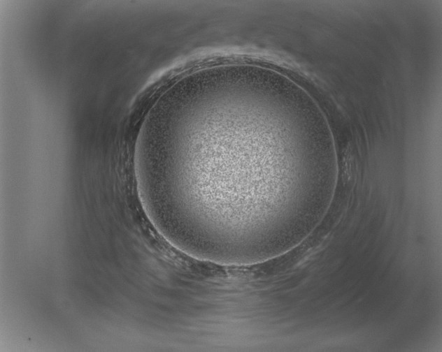 X0000081561494200701221013