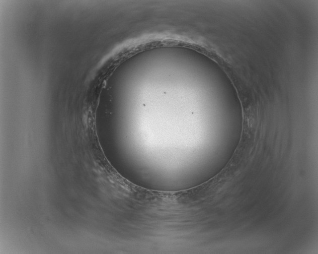 X0000081561495200701221013