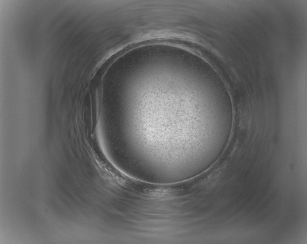 X0000081561497200701221013