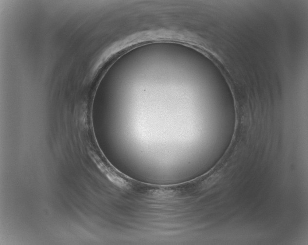 X0000081561499200701221013