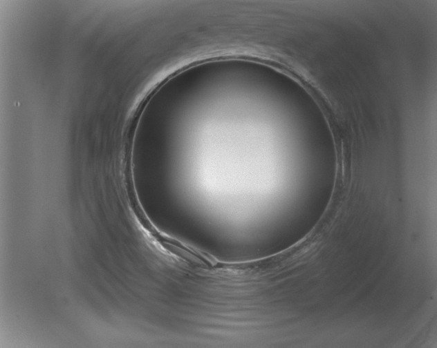 X0000081561500200701221013