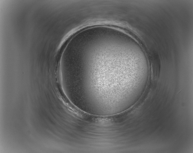 X0000081561501200701221013
