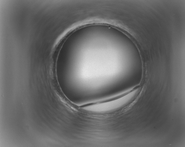 X0000081561502200701221013