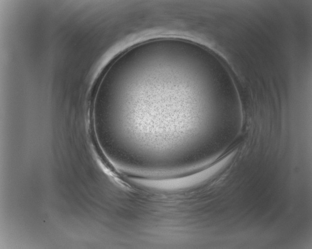X0000081561511200701221013