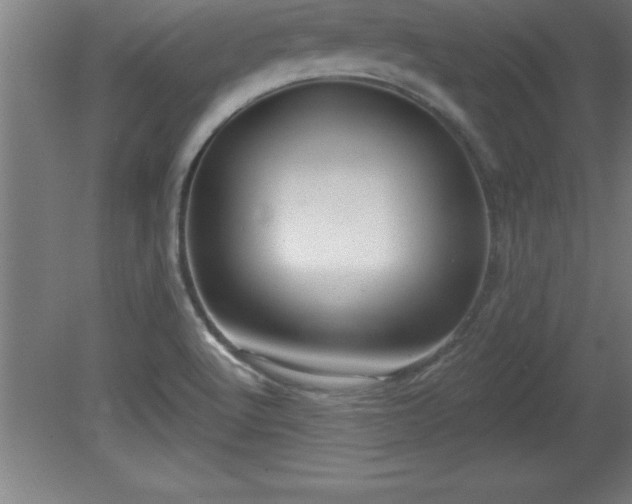 X0000081561512200701221013
