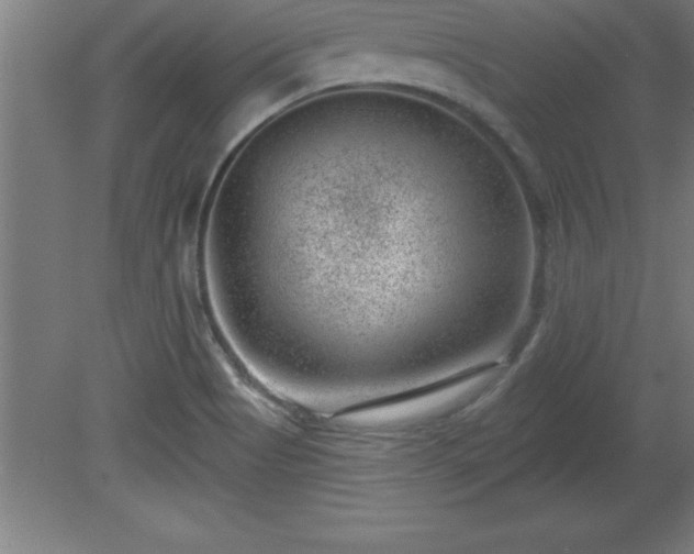 X0000081561513200701221013