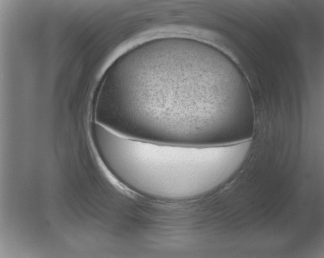 X0000081561523200701221014