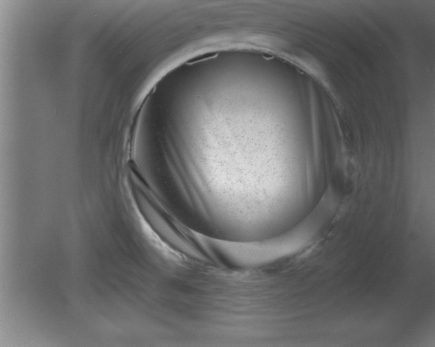 X0000081561524200701221014