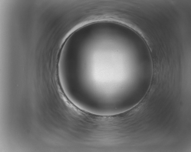 X0000081561534200701221014