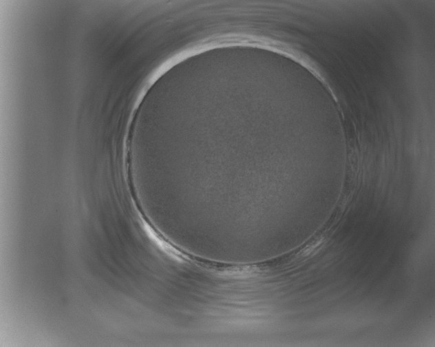 X0000081561535200701221014