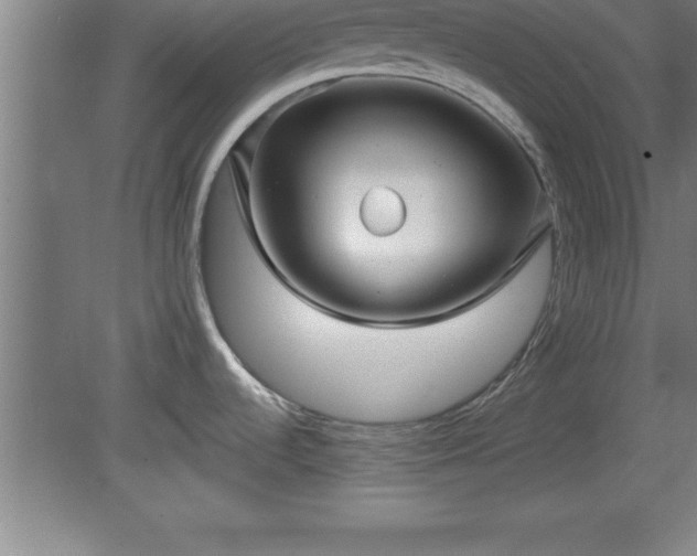 X0000081561536200701221014