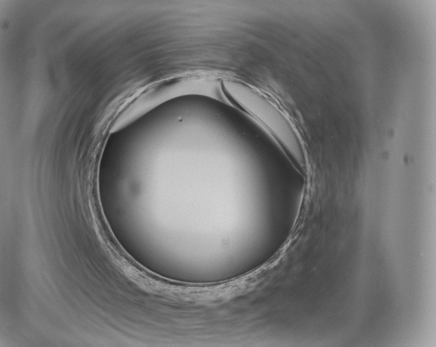 X0000081560001200701291201