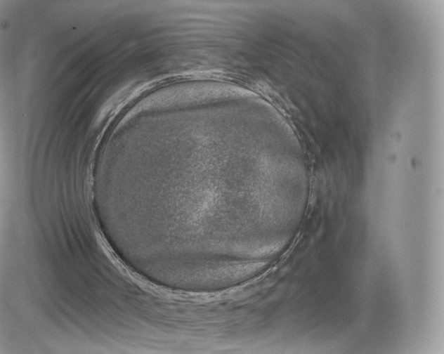 X0000081560002200701291201