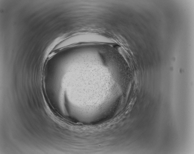 X0000081560003200701291201