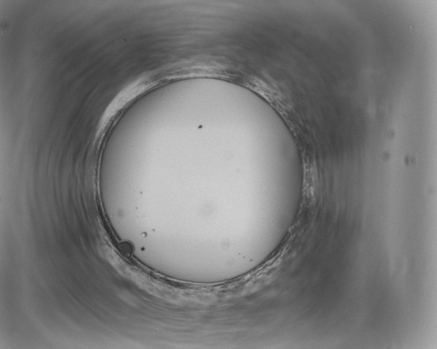 X0000081560004200701291201