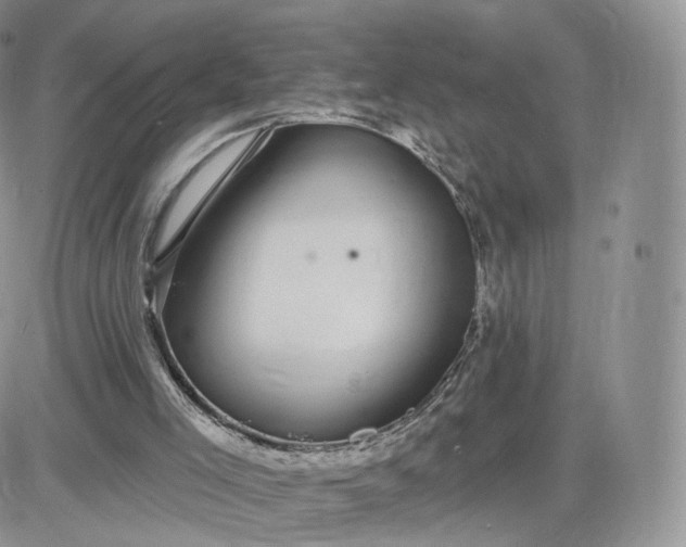 X0000081560005200701291201