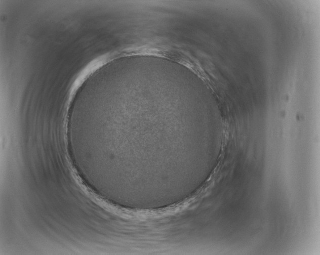 X0000081560006200701291201