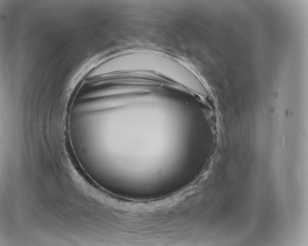 X0000081560007200701291201