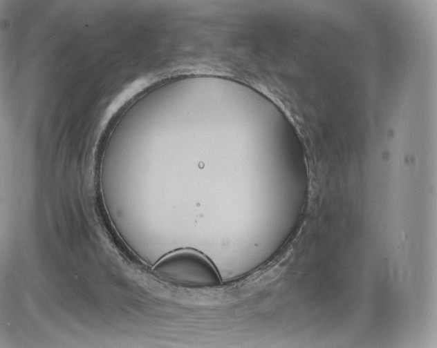 X0000081560008200701291201