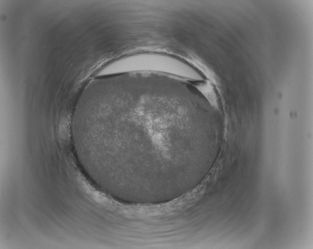 X0000081560009200701291201