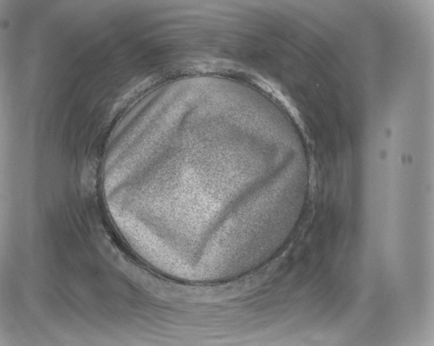 X0000081560010200701291201