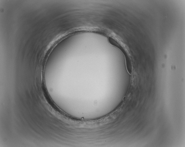 X0000081560011200701291201