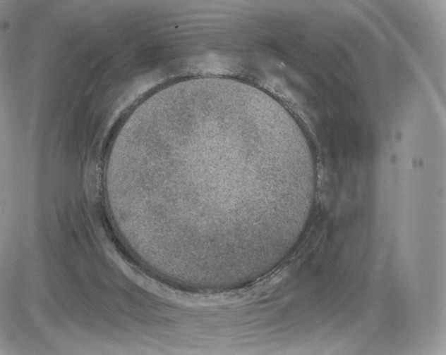 X0000081560012200701291201