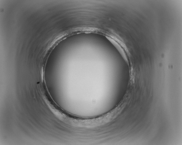 X0000081560013200701291201