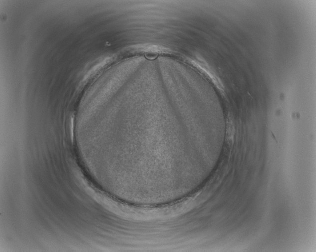 X0000081560014200701291201