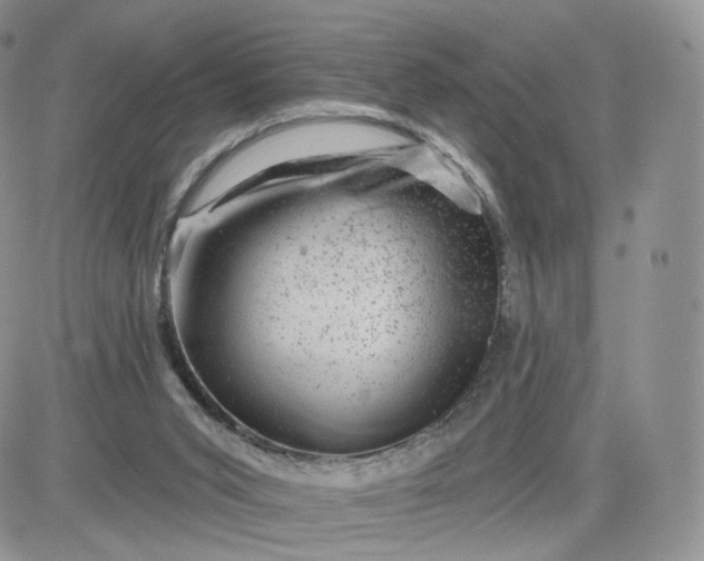 X0000081560015200701291201