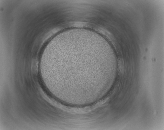 X0000081560016200701291201