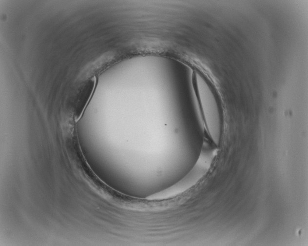 X0000081560017200701291201