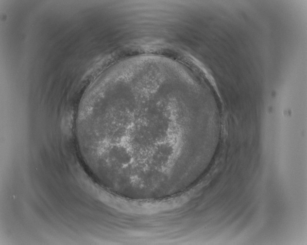 X0000081560018200701291201