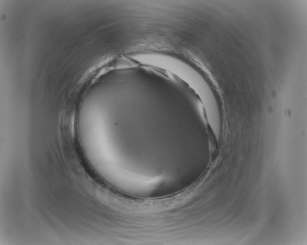 X0000081560019200701291201