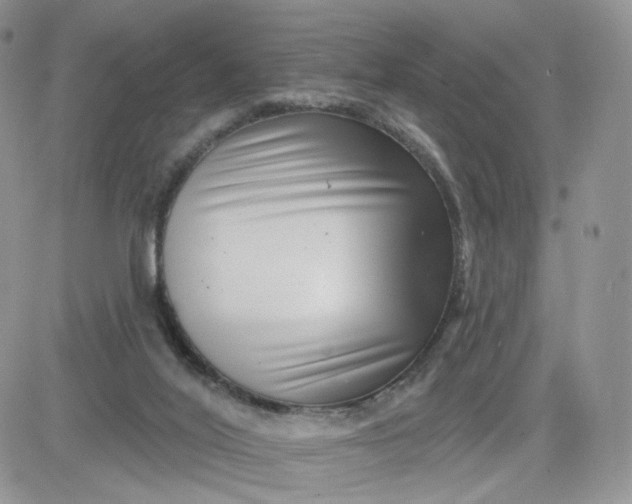 X0000081560020200701291201