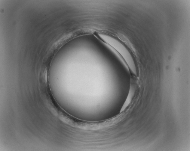 X0000081560021200701291201