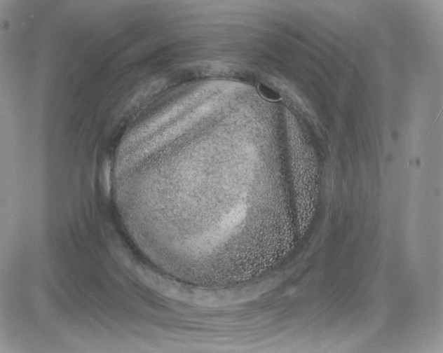 X0000081560022200701291201