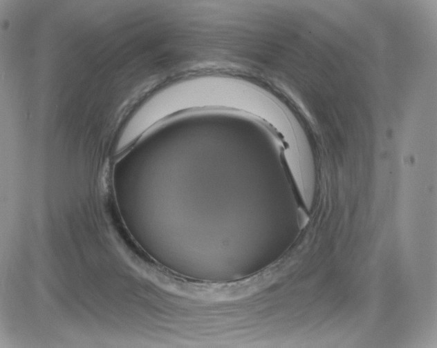 X0000081560023200701291201