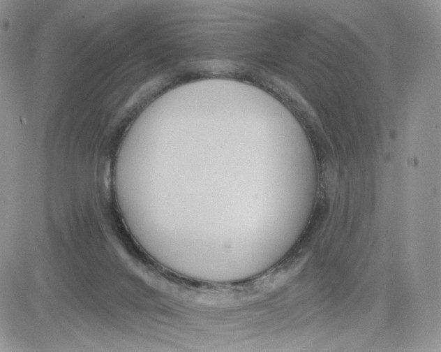 X0000081560024200701291201