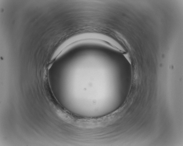 X0000081560025200701291201