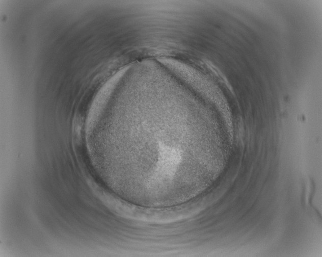 X0000081560026200701291201