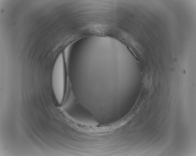 X0000081560027200701291201