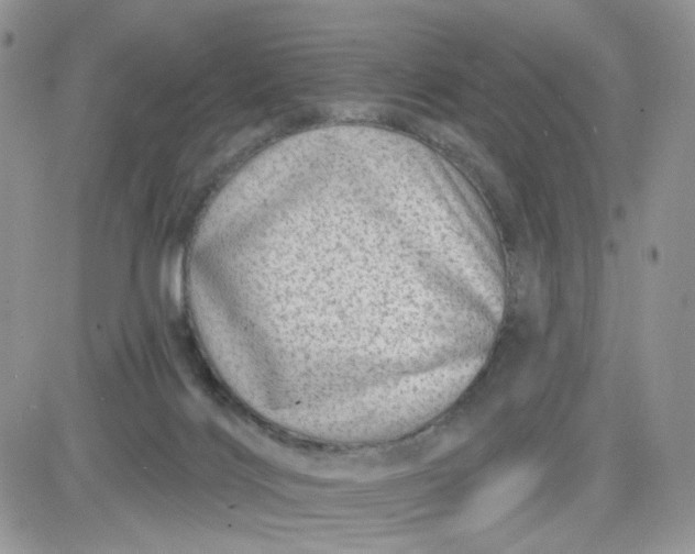 X0000081560028200701291201